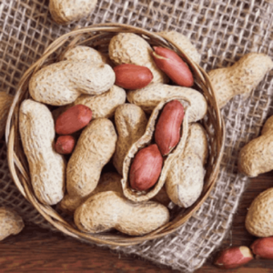 GroundNuts